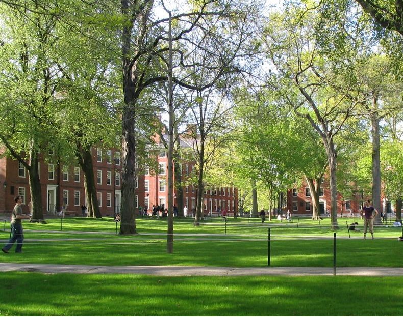 Download this Harvard Yard picture